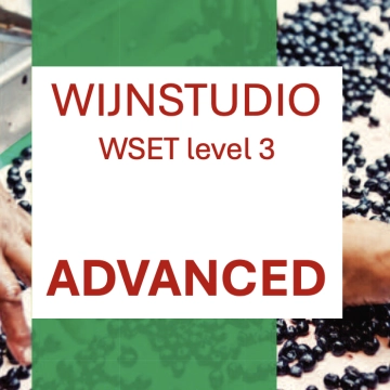 Wijn Advanced – WSET level 3